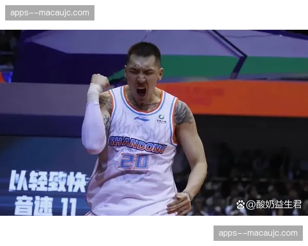 陶汉林13分10篮板两双 山东内线篮板保护能力在线